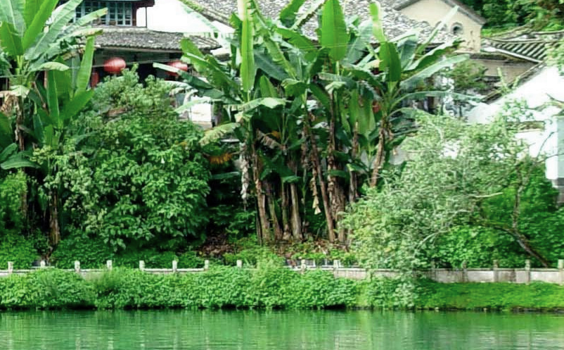 鄉(xiāng)村民宿景區(qū)宣傳策略營(yíng)銷存在問(wèn)題
