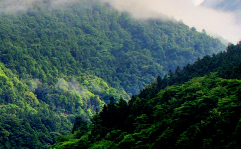 通過(guò)抖音對(duì)景區(qū)營(yíng)銷(xiāo)推廣