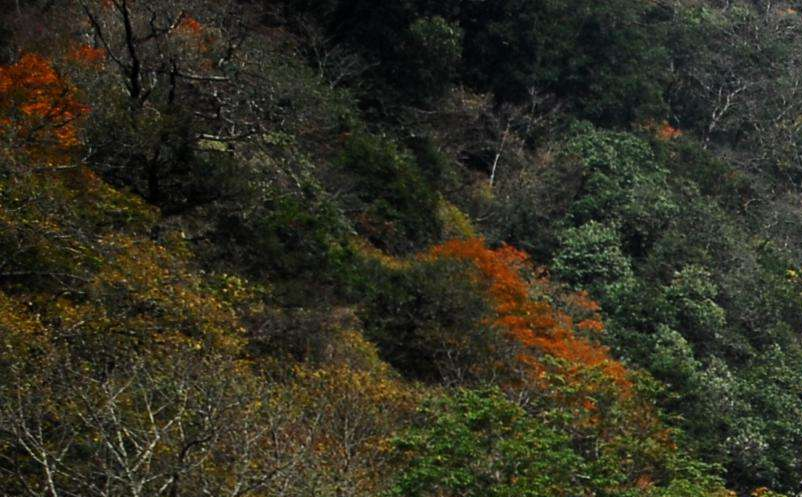 影視旅游目的地集合粉絲群體，助力景區(qū)精準(zhǔn)營銷