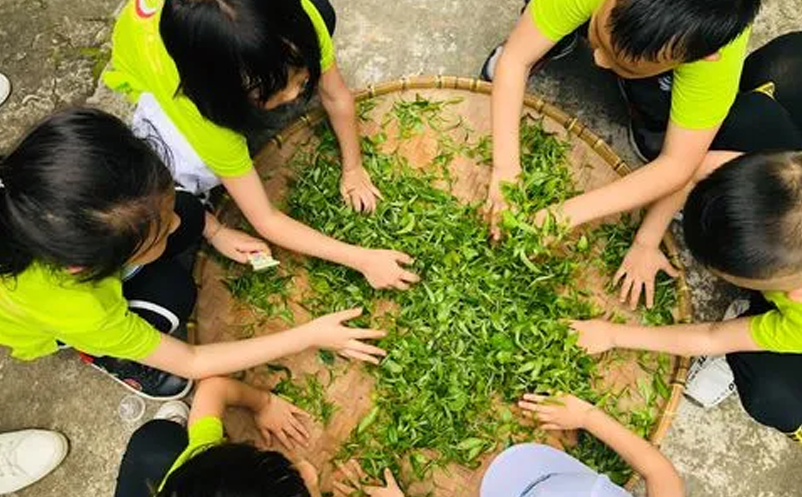 親子研學(xué)、家庭休閑為主要出游動(dòng)機(jī)