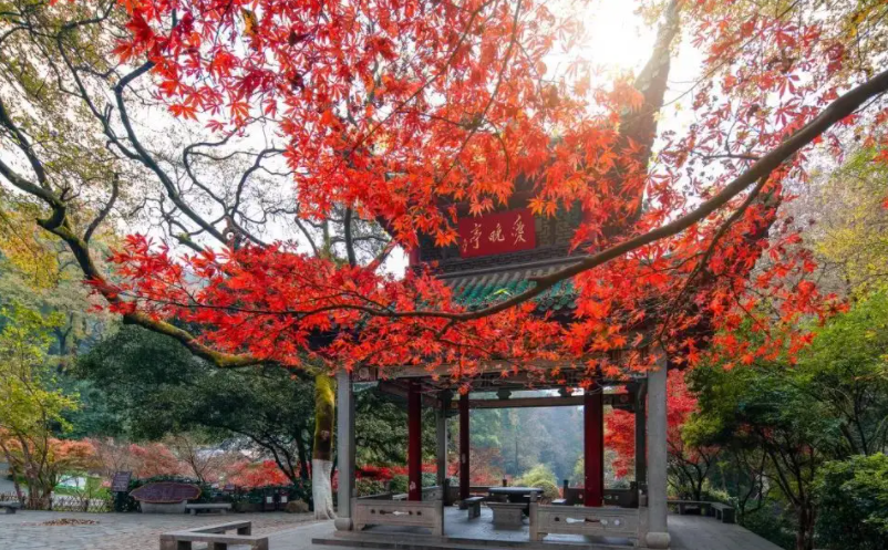 網(wǎng)紅景區(qū)憑什么脫穎而出？