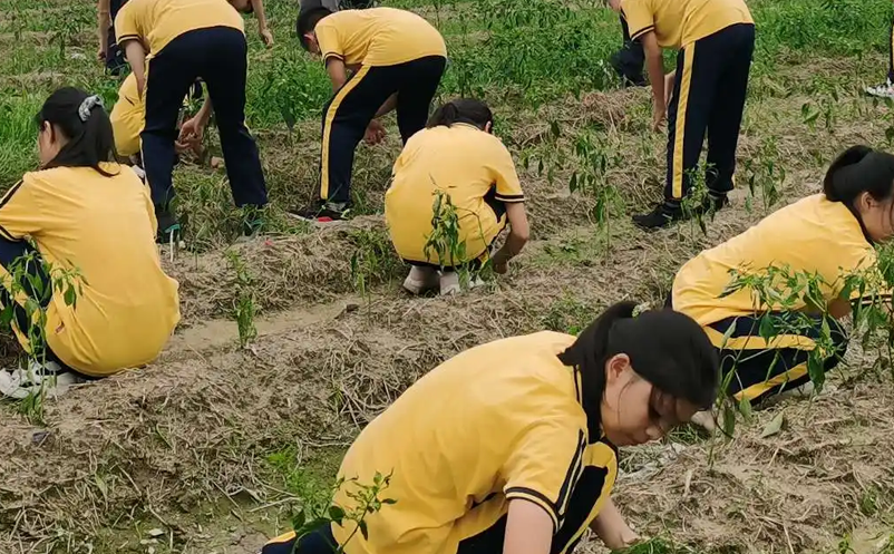 繼“雙減”政策后，如何創(chuàng)新研學(xué)旅游產(chǎn)品和服務(wù)