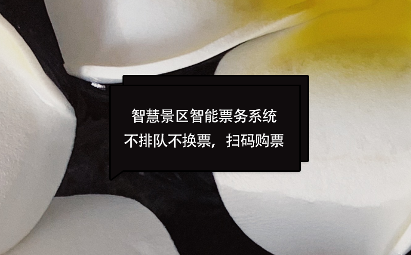 智慧景區(qū)智能票務(wù)系統(tǒng)不排隊不換票，掃碼購票