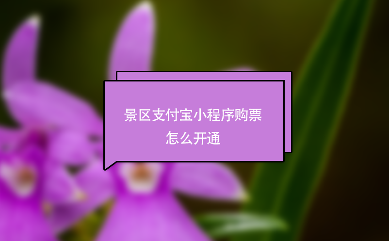 景區(qū)支付寶小程序購票怎么開通？