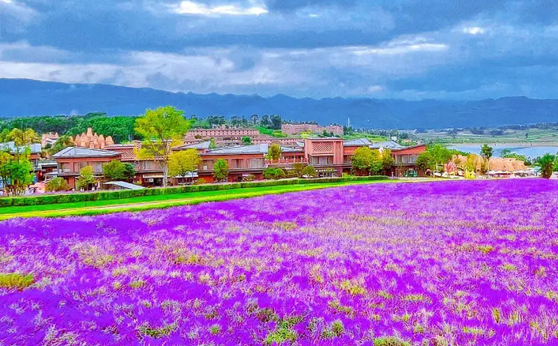 景區(qū)門票銷售混亂怎么辦？試試易景通景區(qū)票務系統