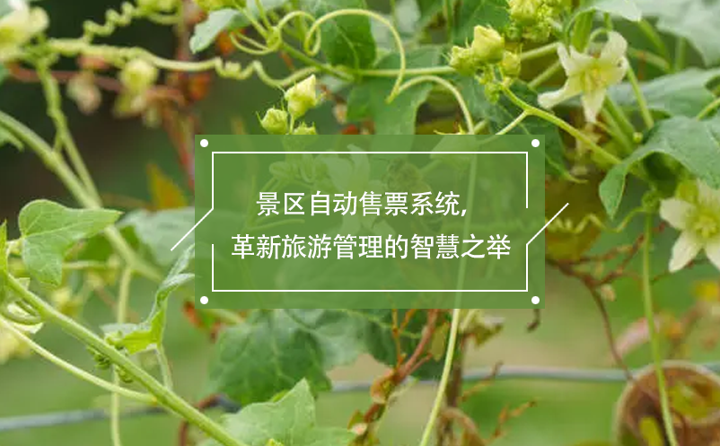 景區(qū)自動(dòng)售票系統(tǒng)，革新旅游管理的智慧之舉