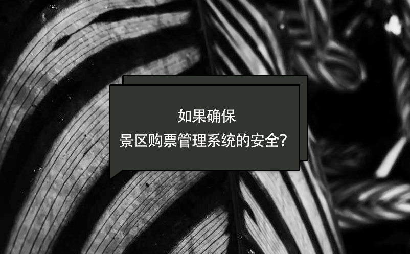 如果確保景區(qū)購票管理系統(tǒng)的安全？