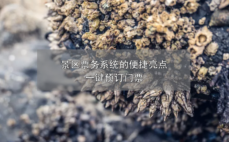 景區(qū)票務(wù)系統(tǒng)的便捷亮點(diǎn)：一鍵預(yù)訂門(mén)票