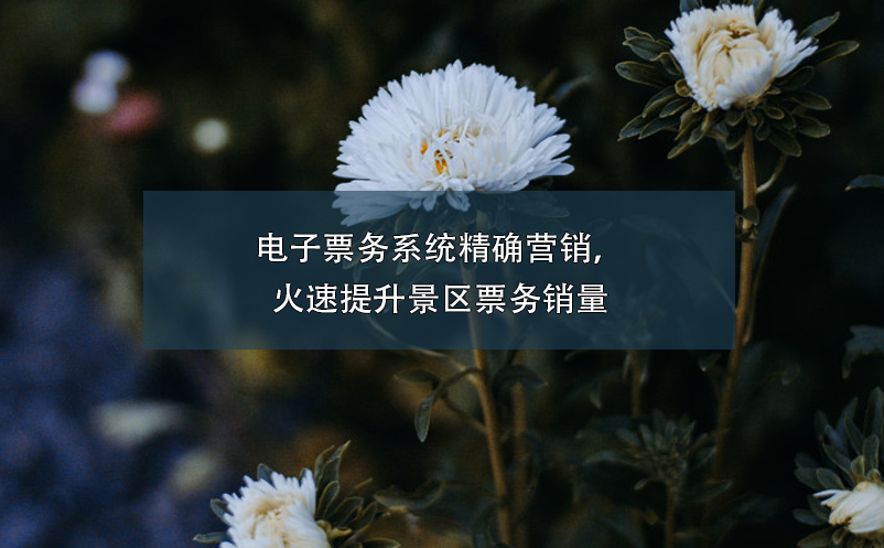 電子票務(wù)系統(tǒng)精確營銷，火速提升景區(qū)票務(wù)銷量