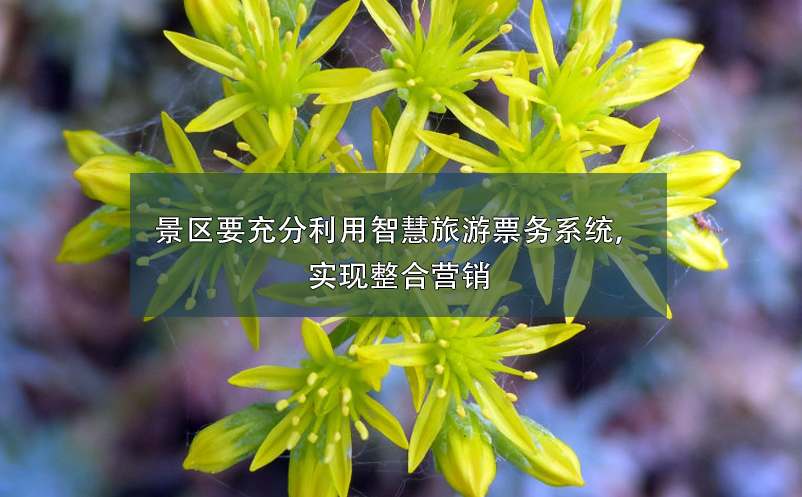 景區(qū)要充分利用智慧旅游票務(wù)系統(tǒng)，實(shí)現(xiàn)整合營銷