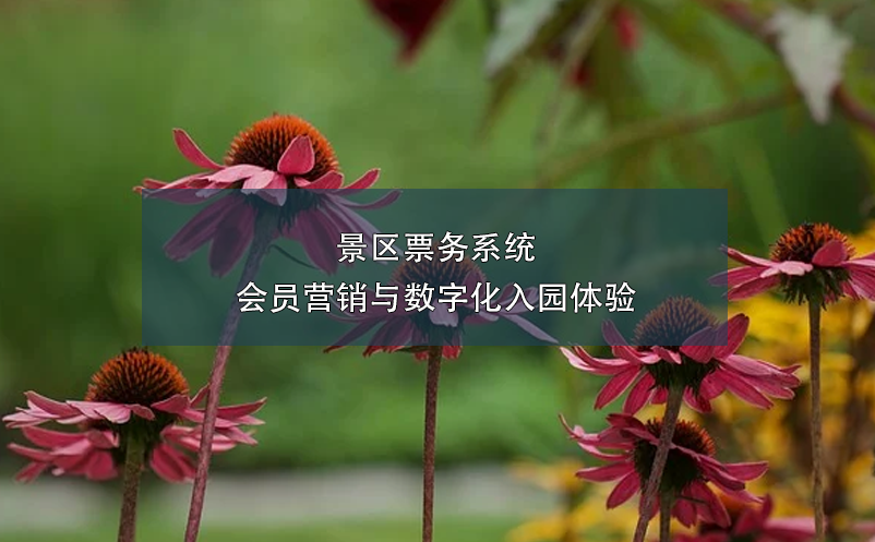 景區(qū)票務(wù)系統(tǒng)會(huì)員營(yíng)銷與數(shù)字化入園體驗(yàn)