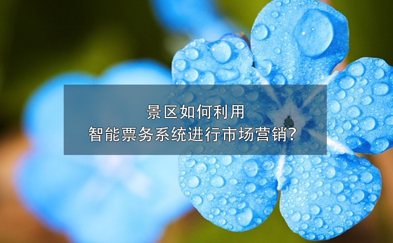 景區(qū)如何利用智能票務(wù)系統(tǒng)進行市場營銷？