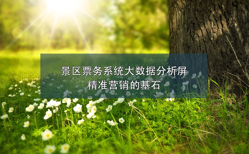 景區(qū)票務(wù)系統(tǒng)大數(shù)據(jù)分析屏：精準(zhǔn)營(yíng)銷(xiāo)的基石
