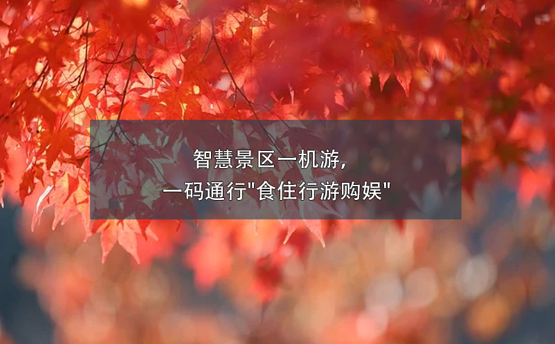 智慧景區(qū)一機游，一碼通行