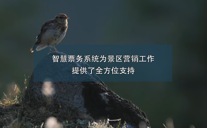 智慧票務(wù)系統(tǒng)為景區(qū)營銷工作提供了全方位支持