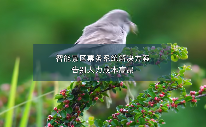 端午小長假，智能票務(wù)系統(tǒng)如何在確保游客體驗和提升景區(qū)的管理？